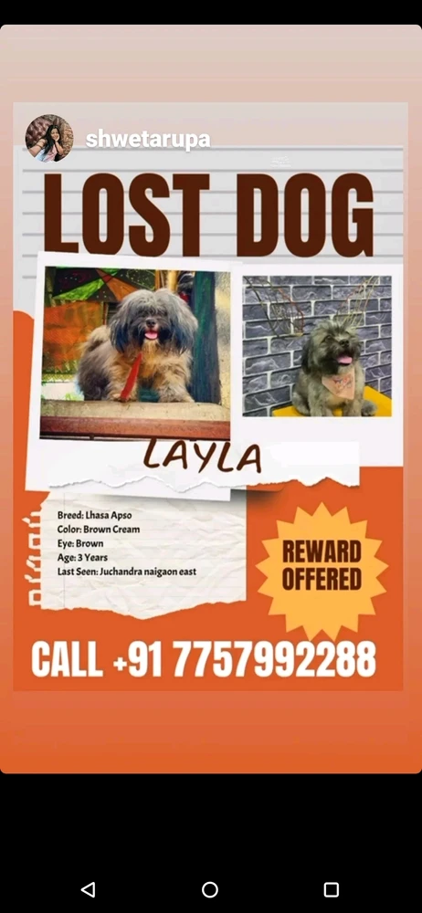 Image uploaded by Sagar Lingam