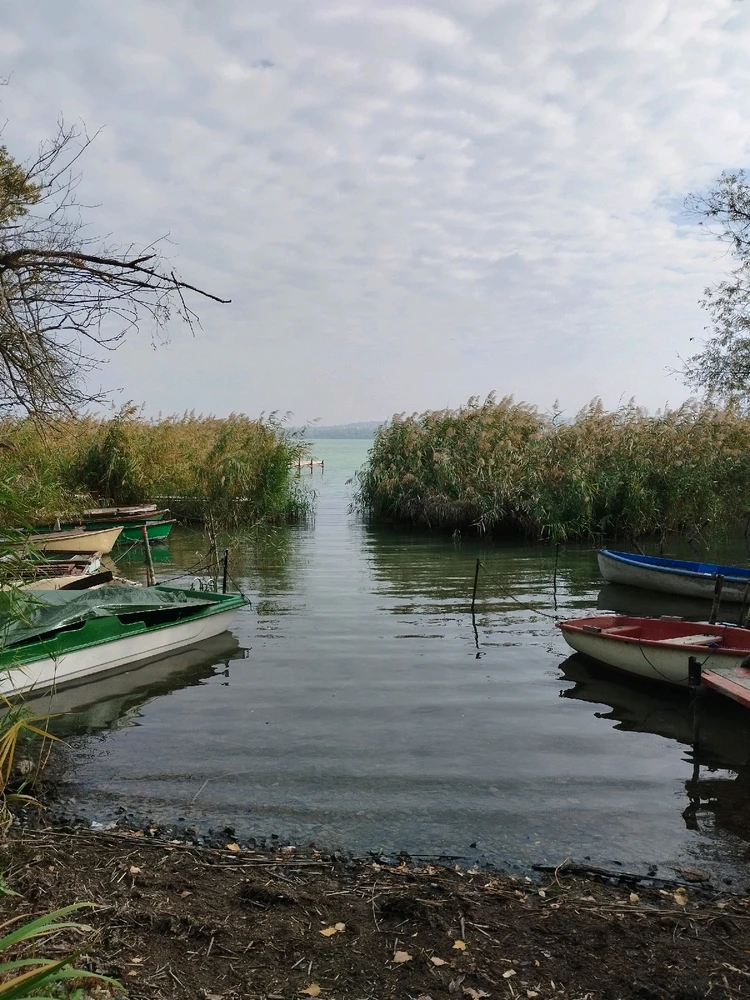 vanazúgy által feltöltött kép