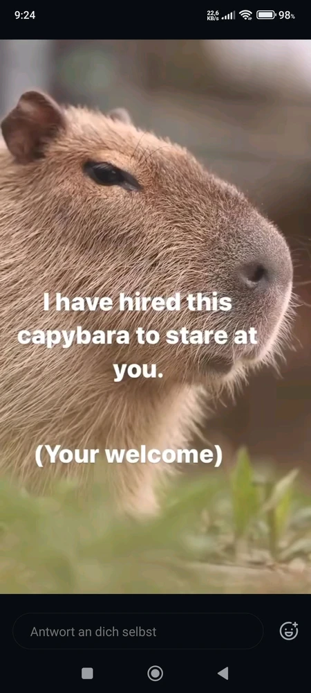 Bild hochgeladen von Chris O.