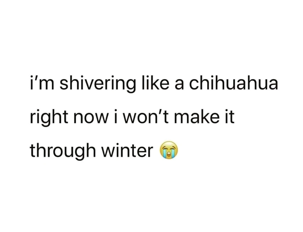 Image uploaded by Ciena