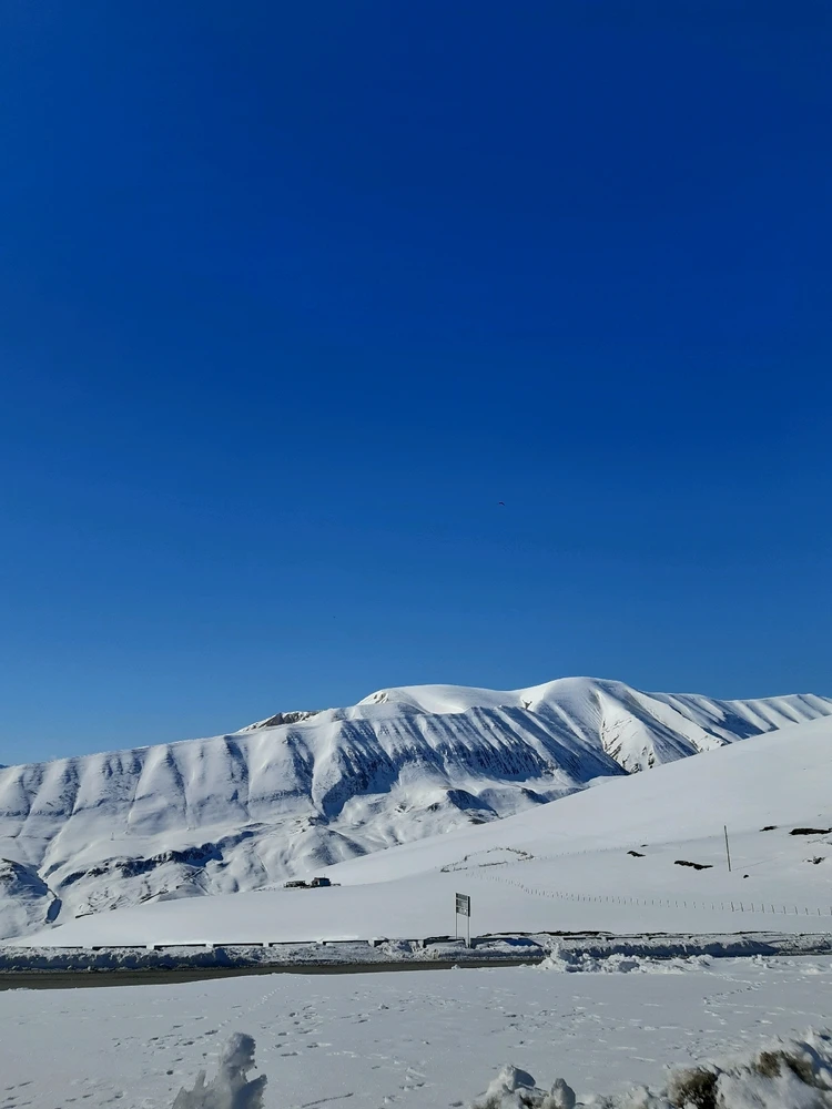 Фото загрузил Инна