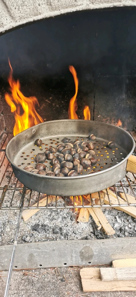 Immagine caricata da Federico