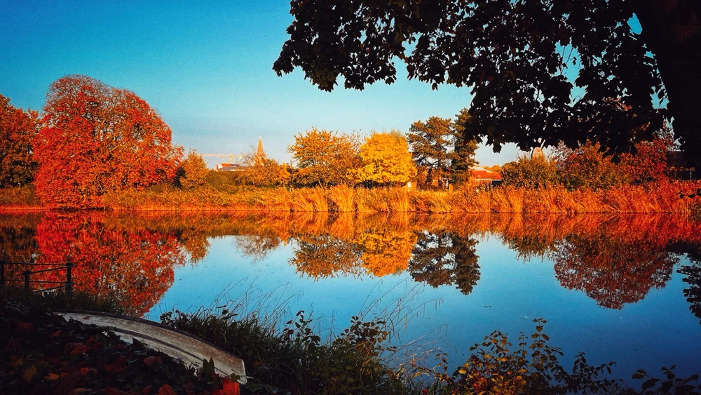 Afbeelding geüpload door Efra