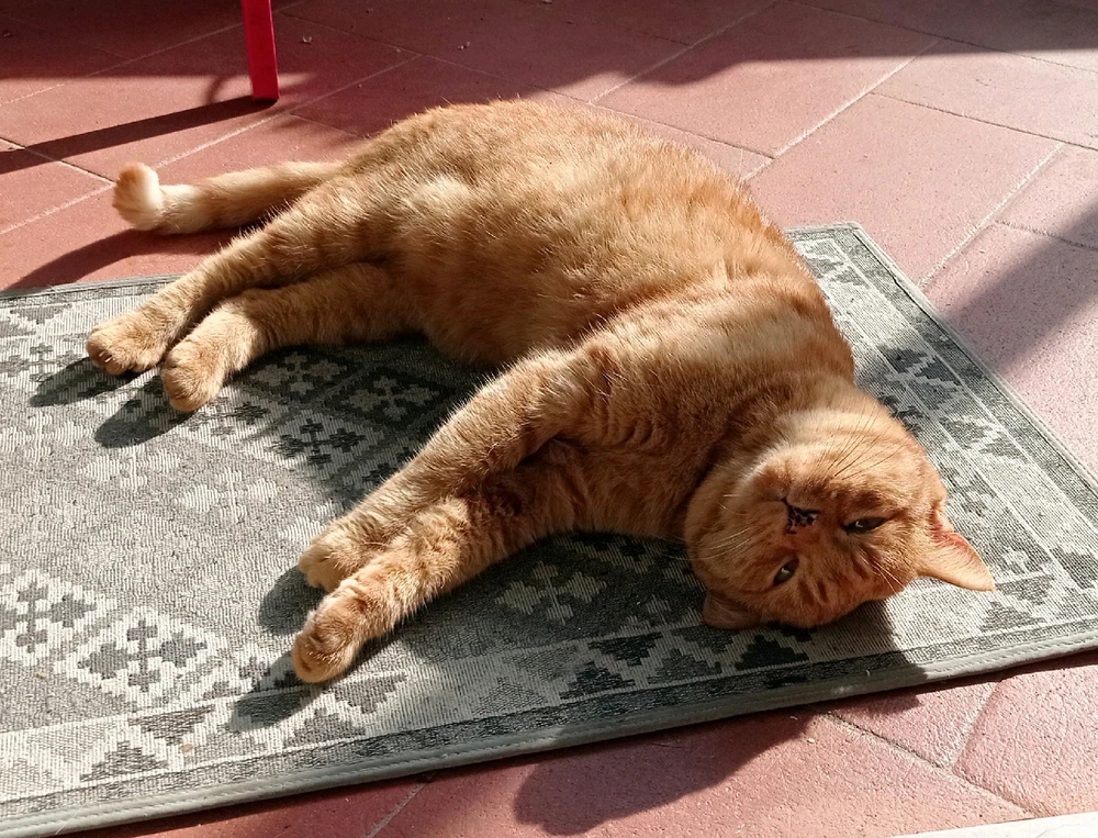 Immagine caricata da M.