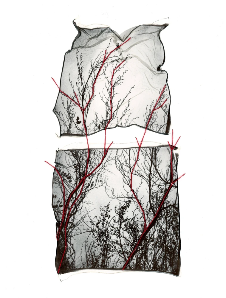 Obrázek nahrál Irónia