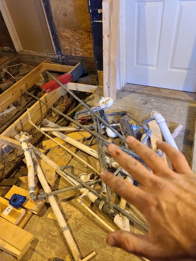 Image uploaded by Charlie