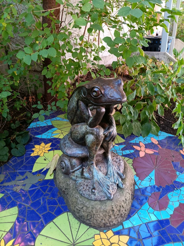 Image uploaded by Matthew