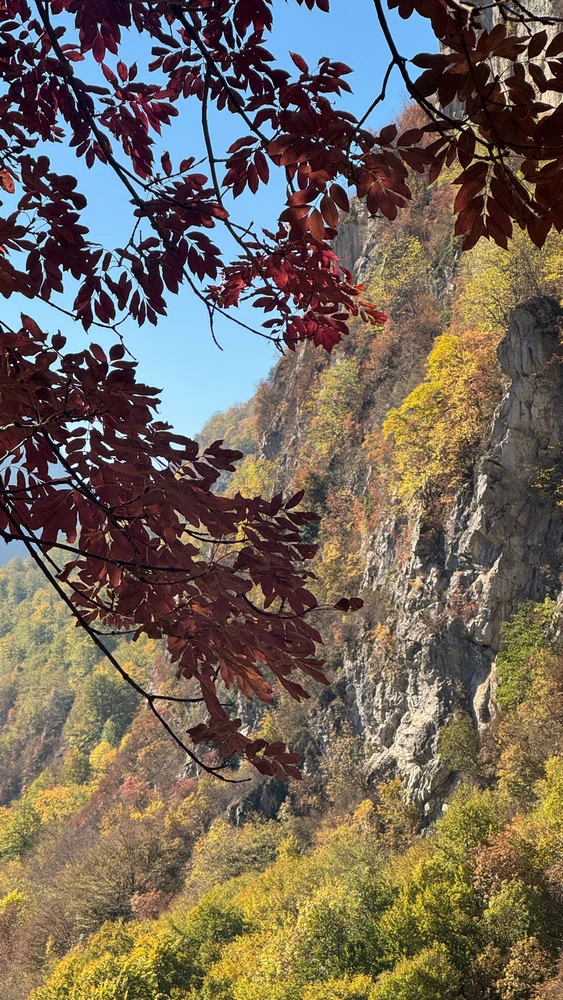 Зображення завантажив Іgor