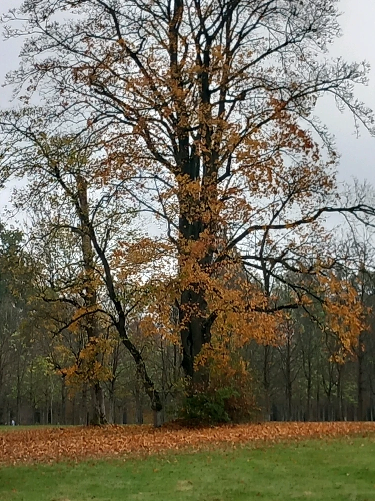 Bild hochgeladen von Dennis