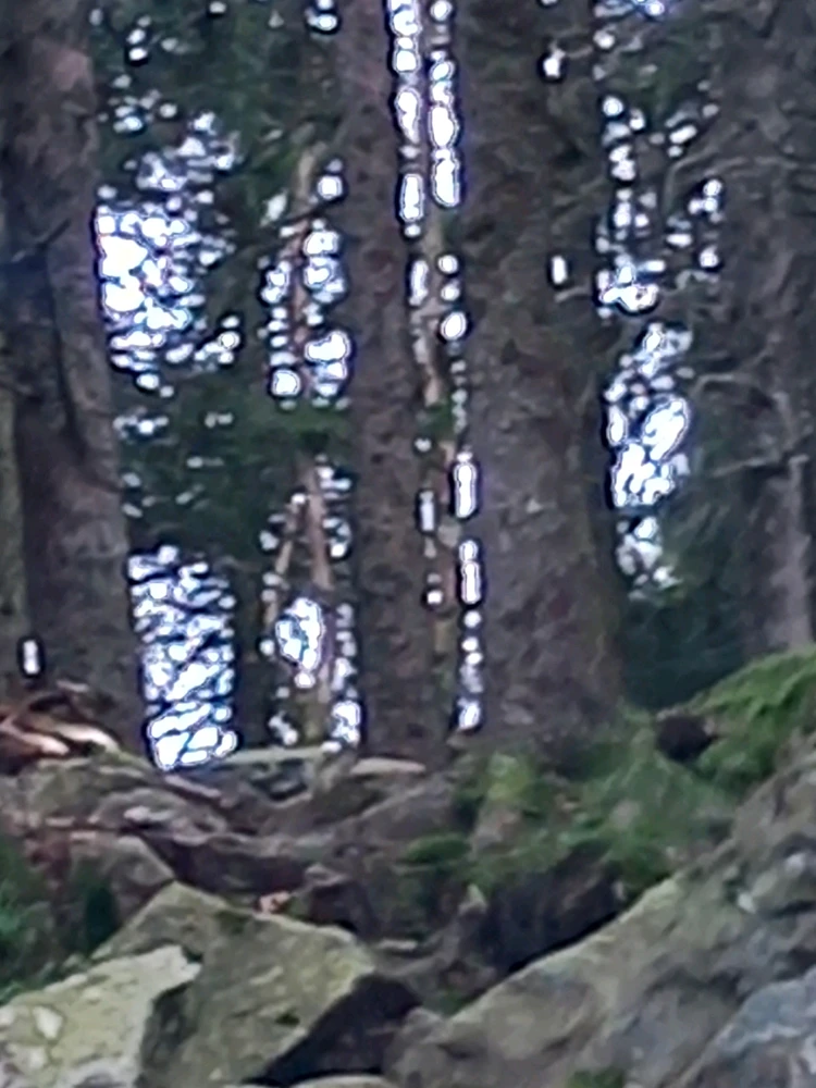 Bild hochgeladen von Dennis