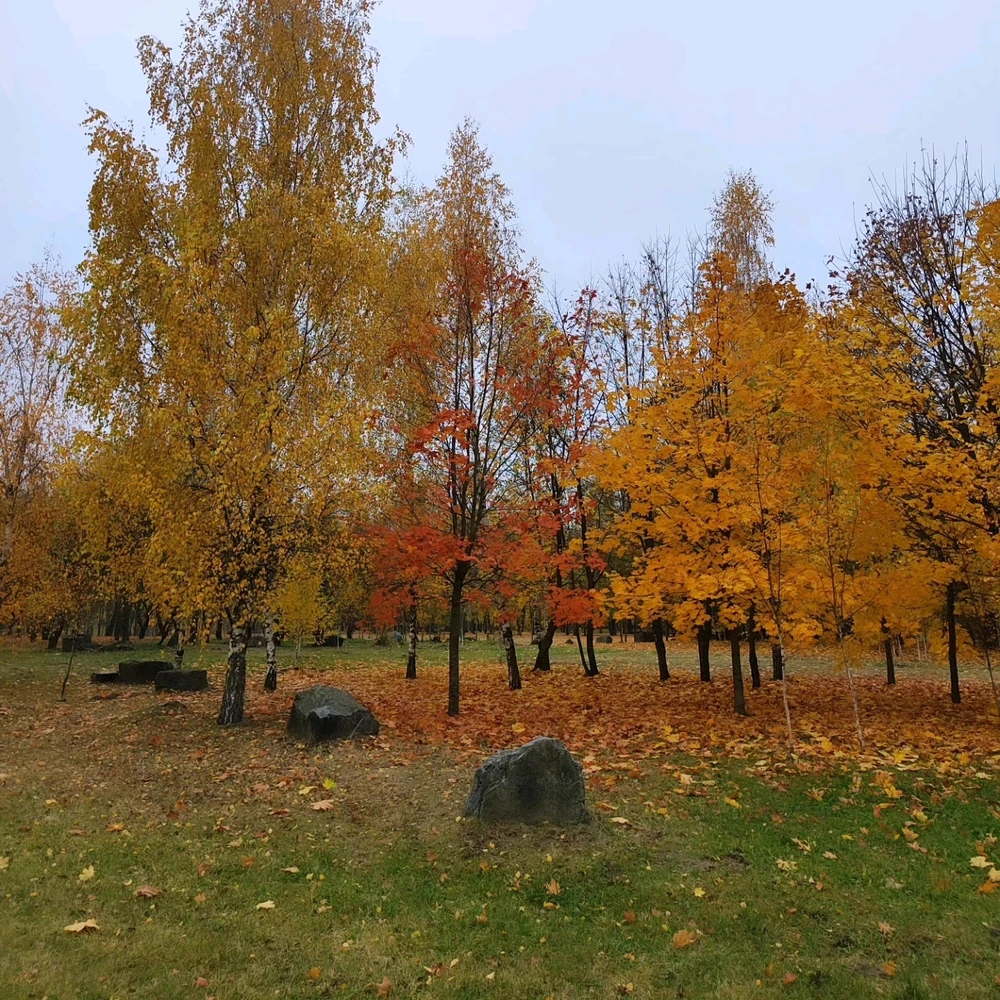 Image uploaded by Elena