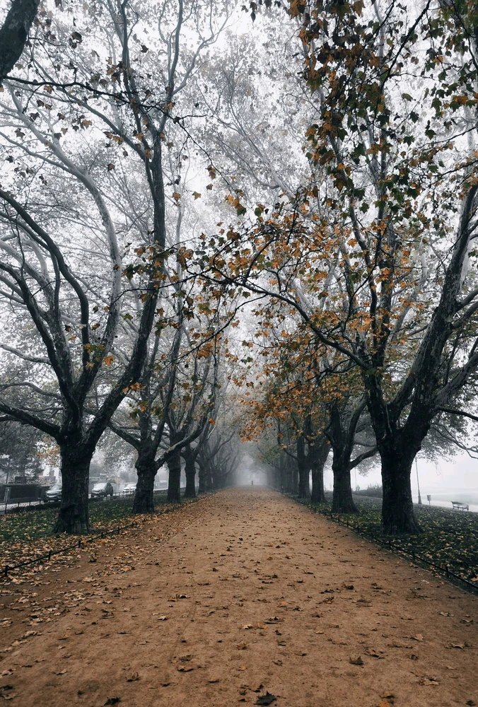 Zdjęcie dodane przez Awaken