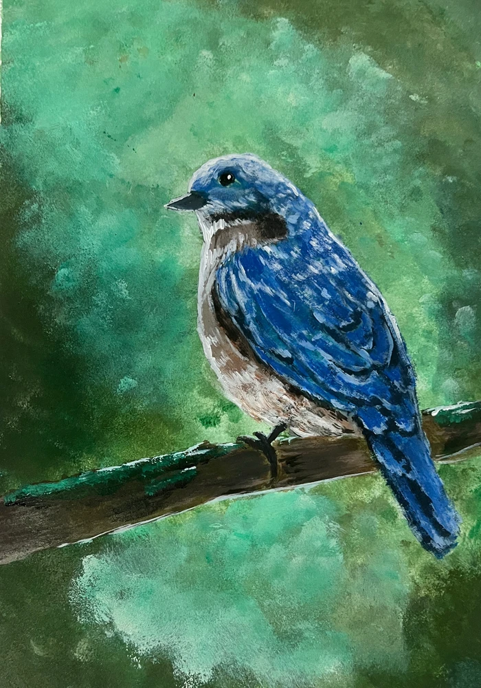 Image uploaded by Mohammed Yaseen