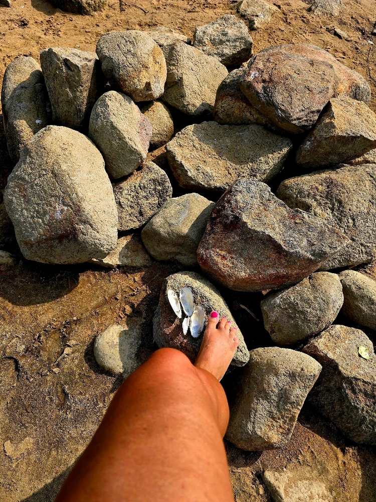 There are no more wild beaches.