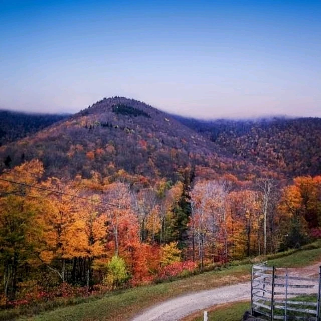 Image uploaded by Melissa