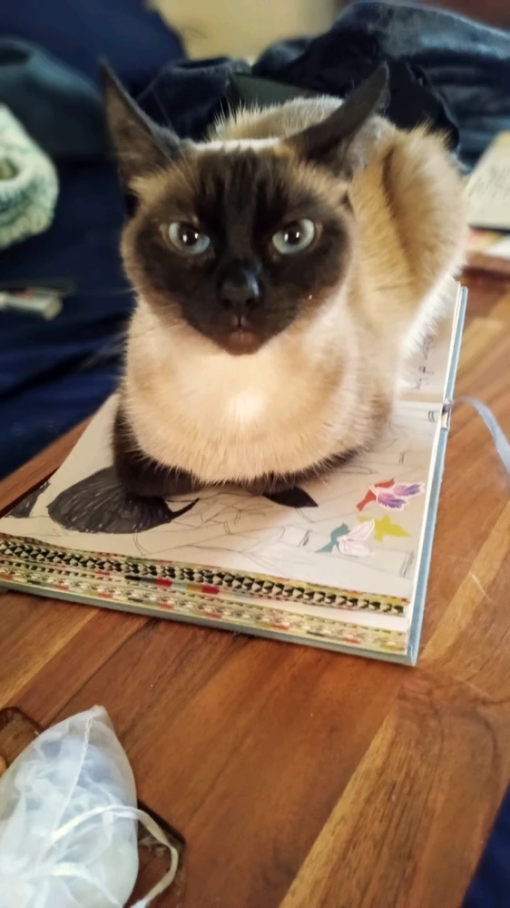 Image uploaded by Kimmy