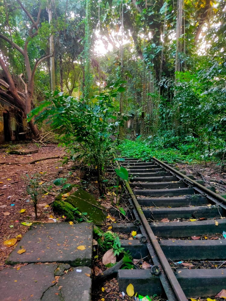 Image uploaded by Sreejith