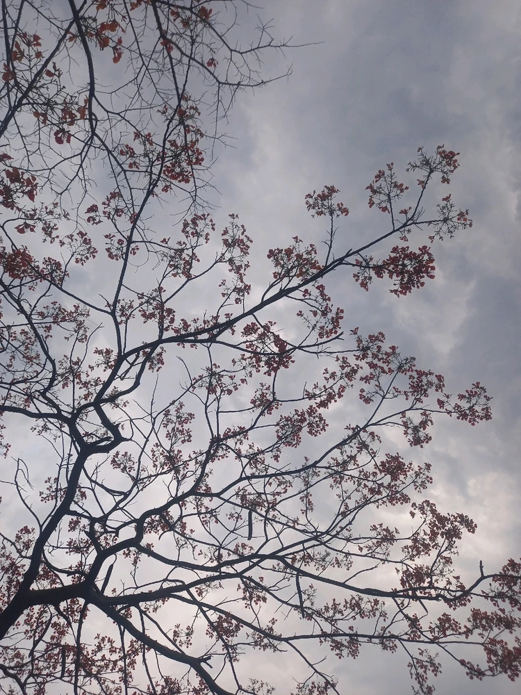 Image uploaded by Luna