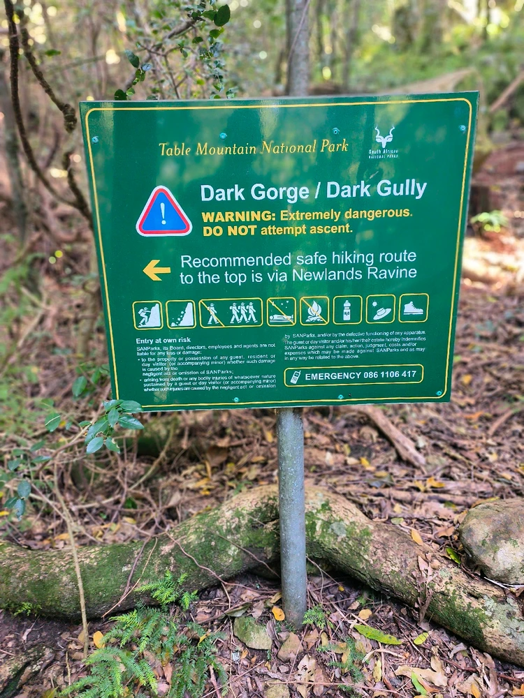 Dark Gorge Trail up Devils Peak from Newlands Forest, Cape Town