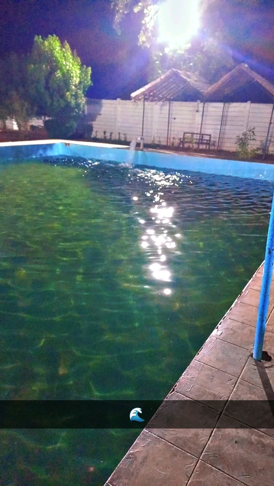 Image uploaded by Wikki