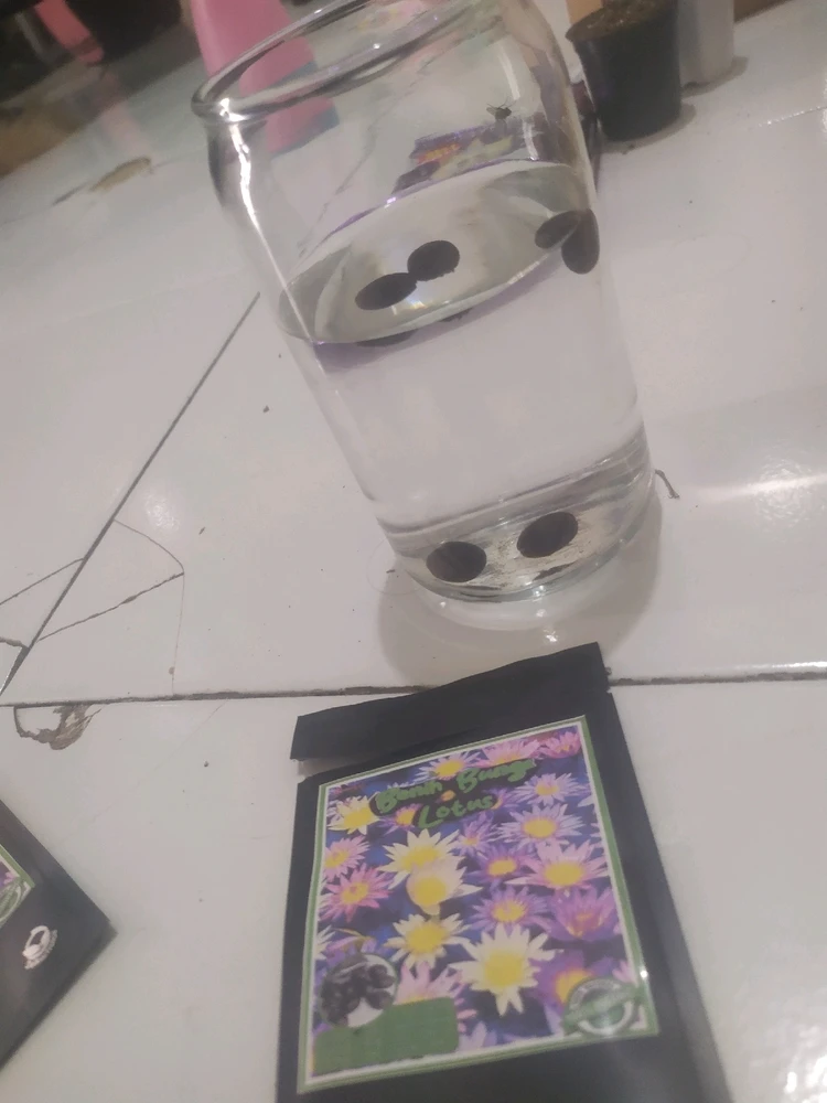 Gambar diunggah oleh Yuni