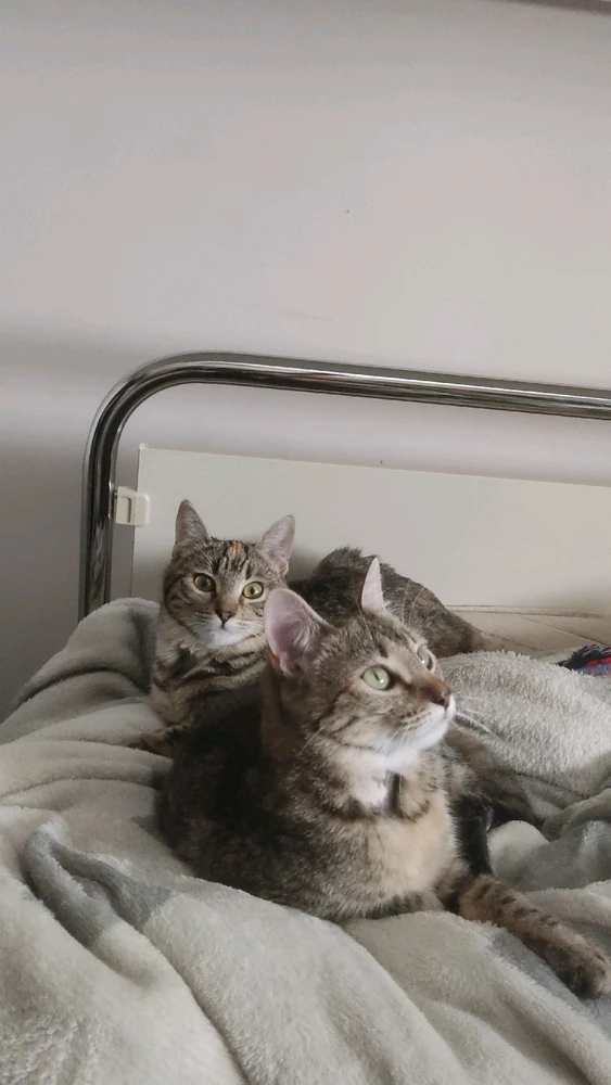 Immagine caricata da Neo