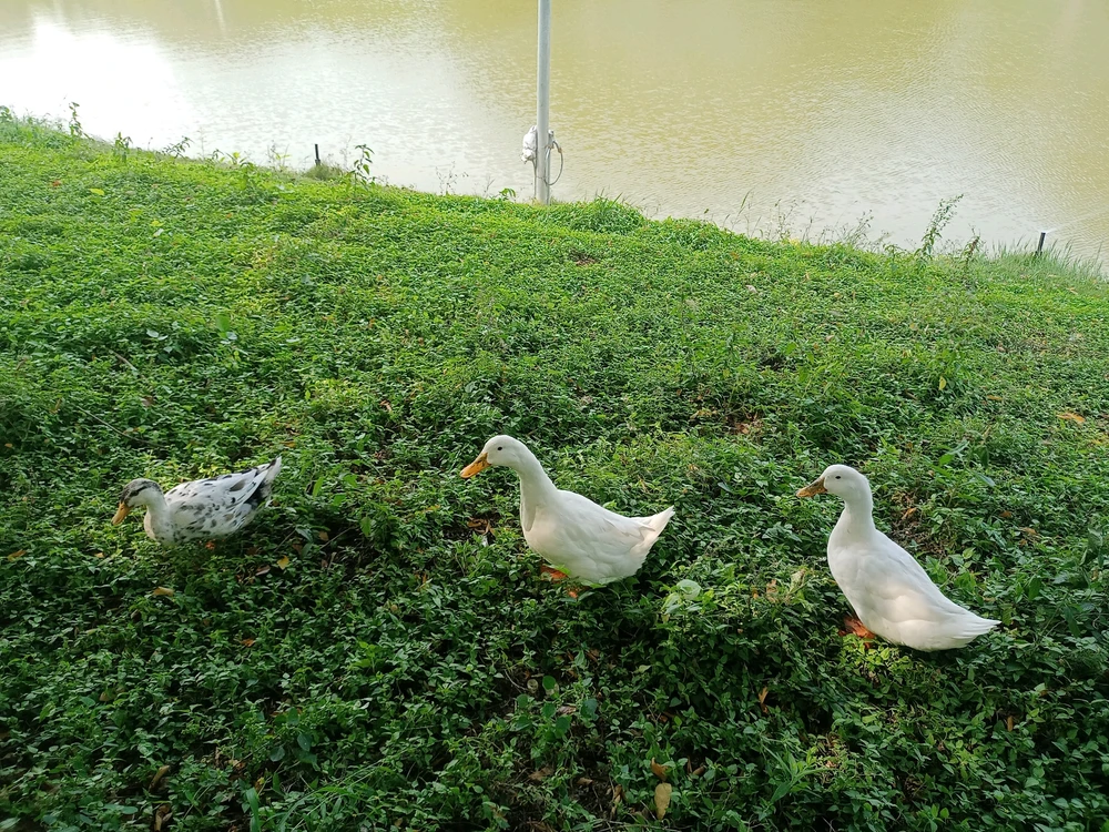 Image uploaded by Sai