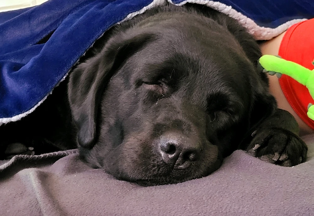 Bild hochgeladen von Hagalaz