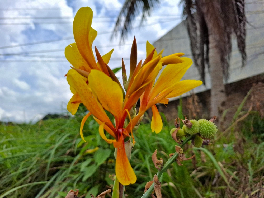 Image uploaded by Edo