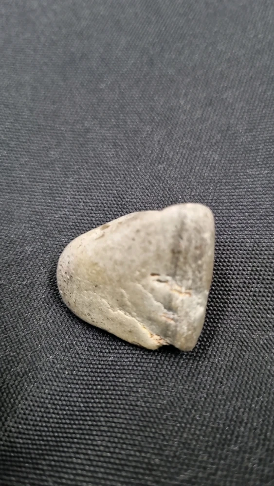 Eine Frage an die Dudes: