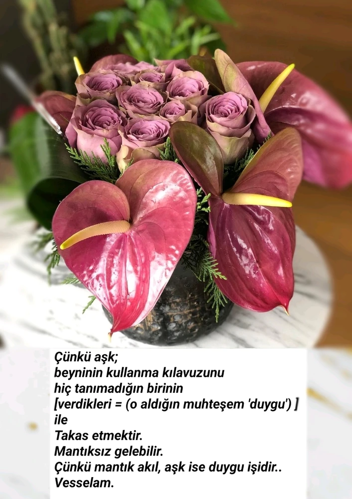 Sergüzeşt tarafından yüklenen görsel