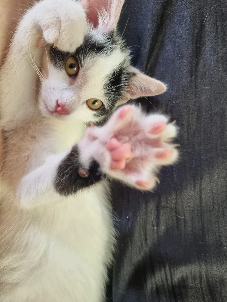 Bild hochgeladen von Jenny