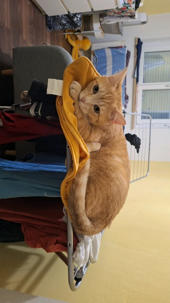 Bild hochgeladen von Marcel