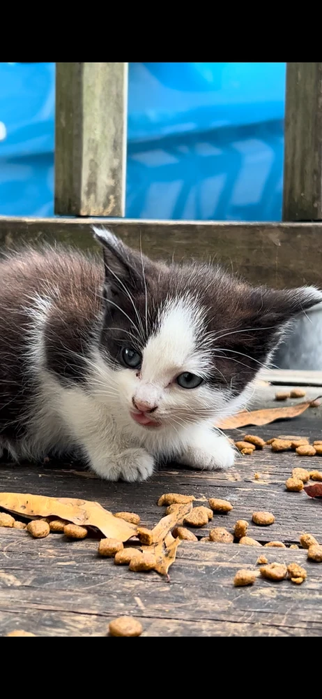 Image uploaded by JustCallMeWill