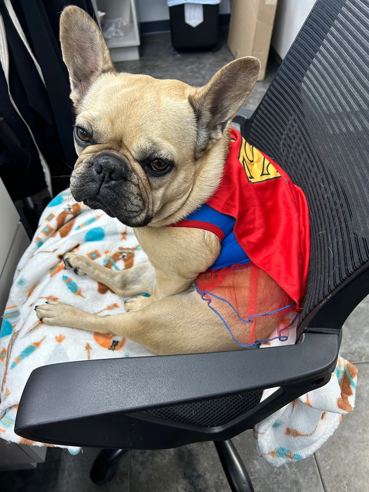 Image uploaded by M̷̷A̷̷R̷̷I̷̷A̷̷ ̷A̷̷N̷̷G̷̷E̷̷ ̷🖤