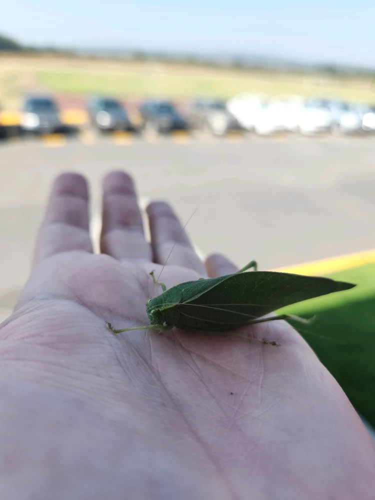 Imagen subida por Javier