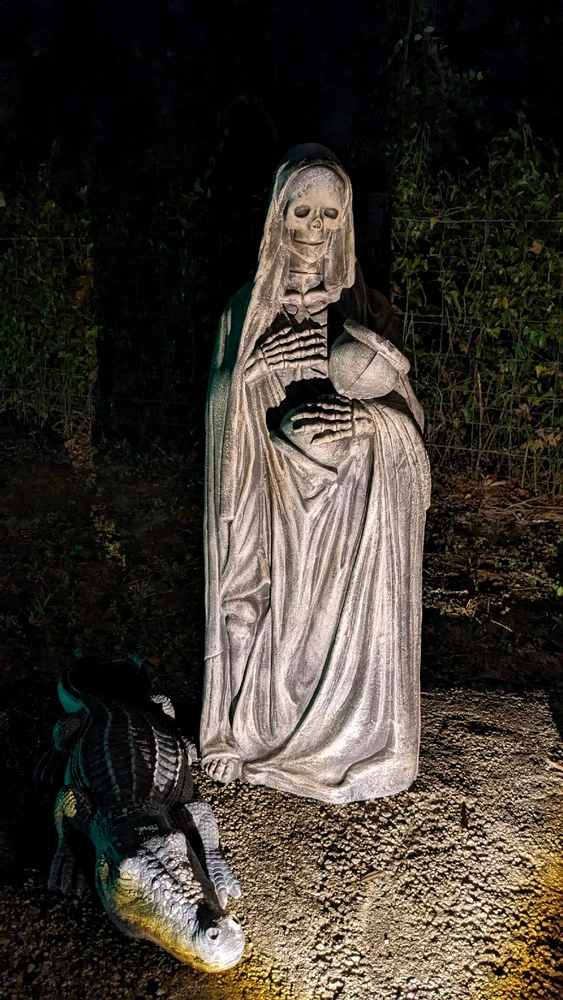 Image uploaded by Joey