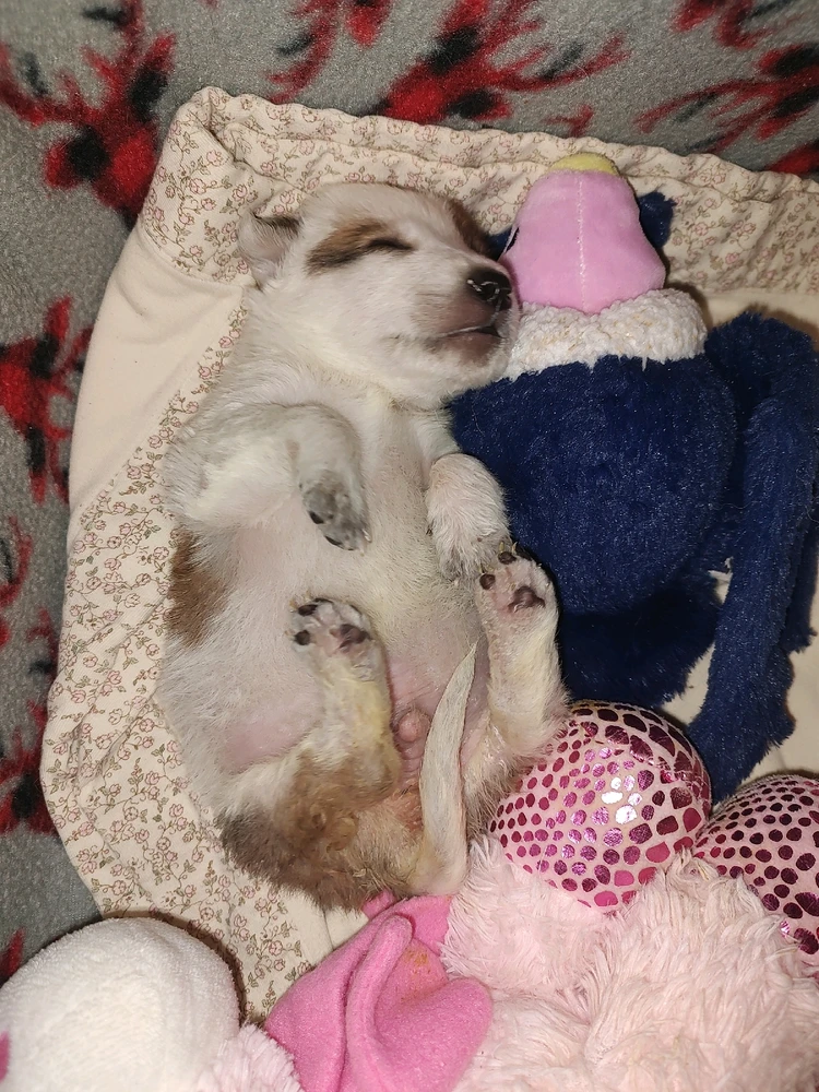 Image uploaded by Joanna