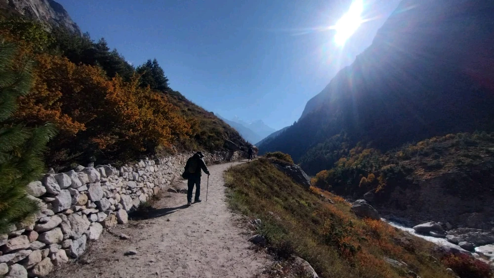 Trail to Mardi Himal.