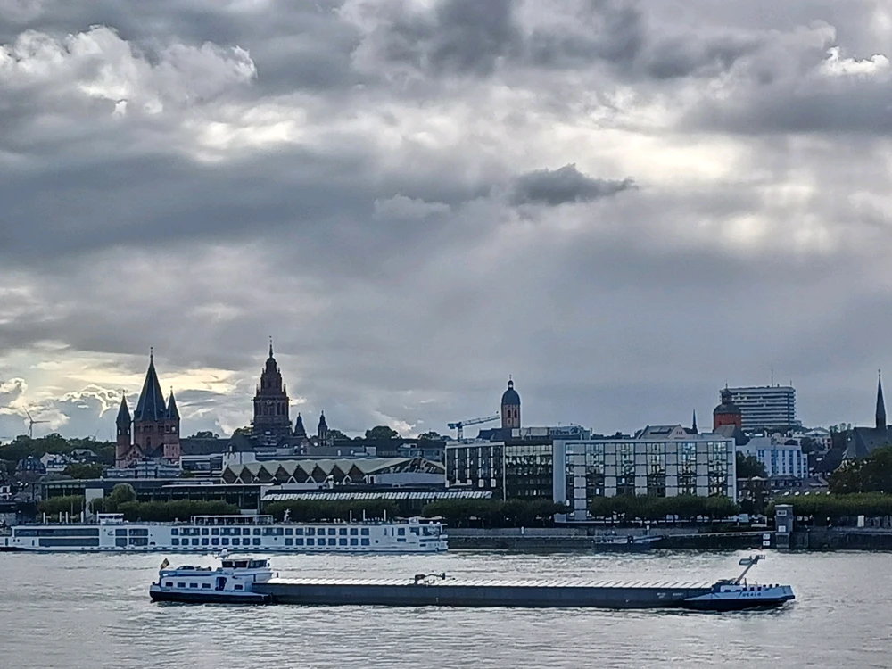 Image uploaded by Sarah