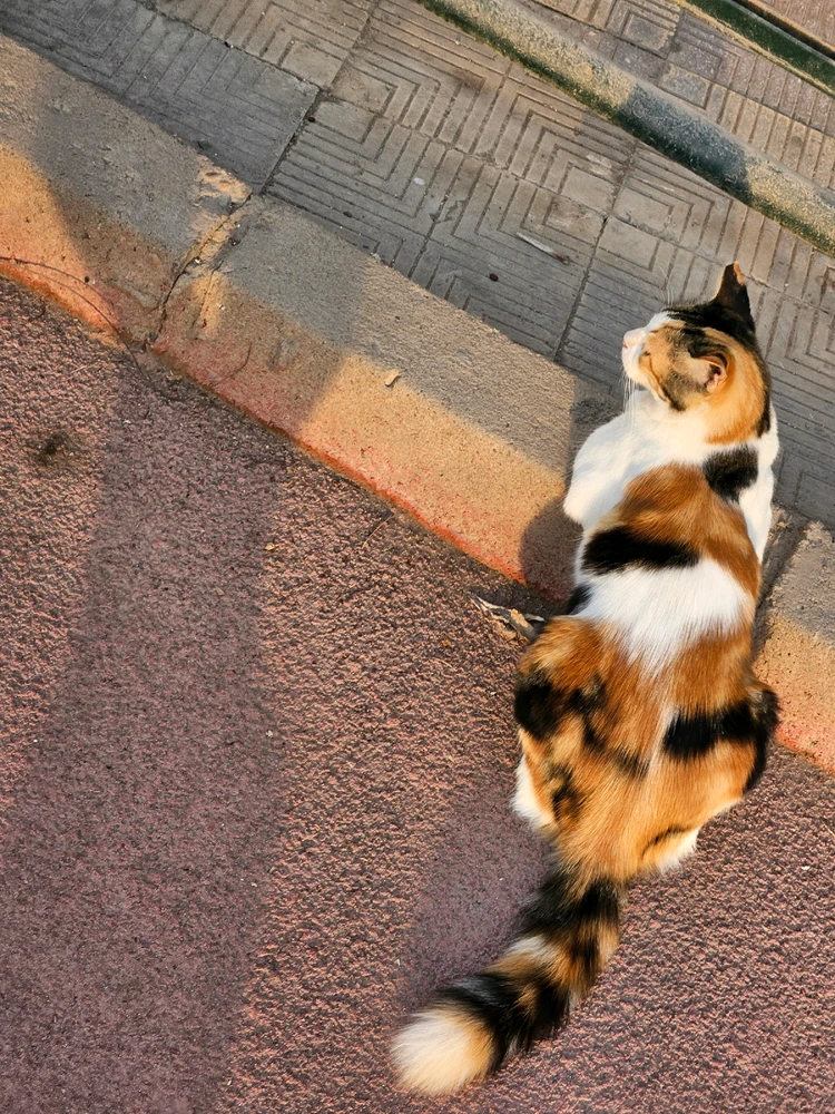 Image uploaded by Solom