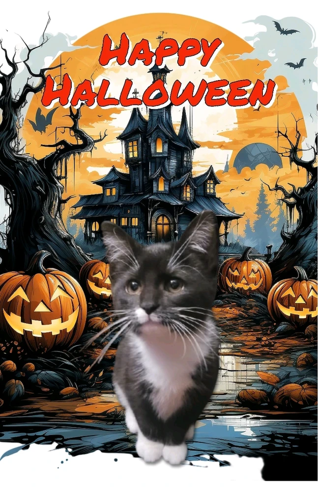 Happy Halloween from Adora
