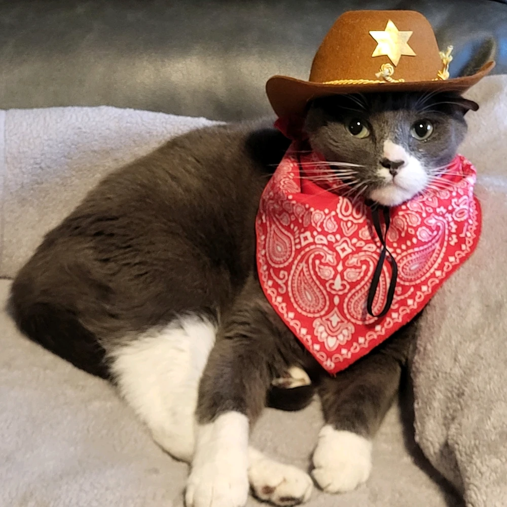 Happy Halloween 🎃