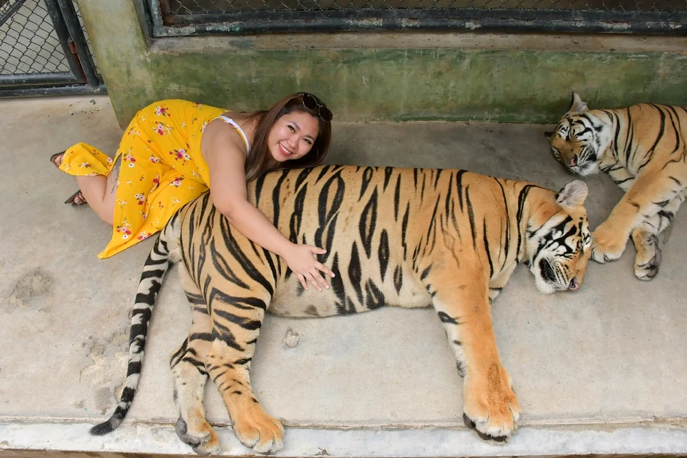 Image uploaded by Sharon