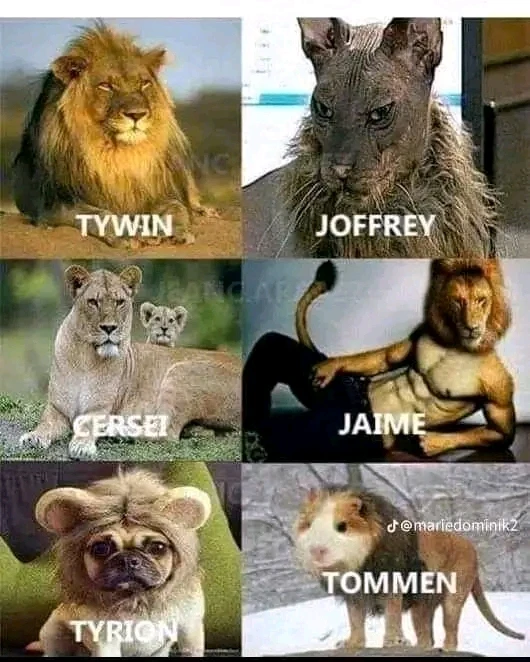 Image uploaded by ✨🪞 𝓘𝓼𝓵𝓪 🌷🤍