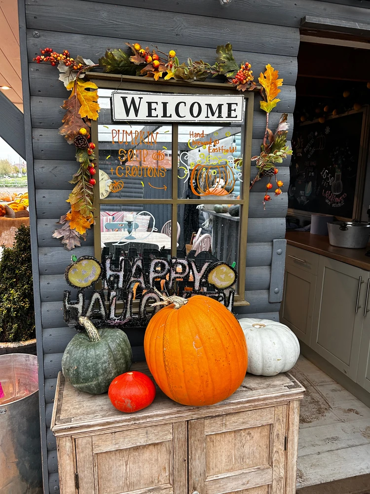 Gambar diunggah dening Shelley