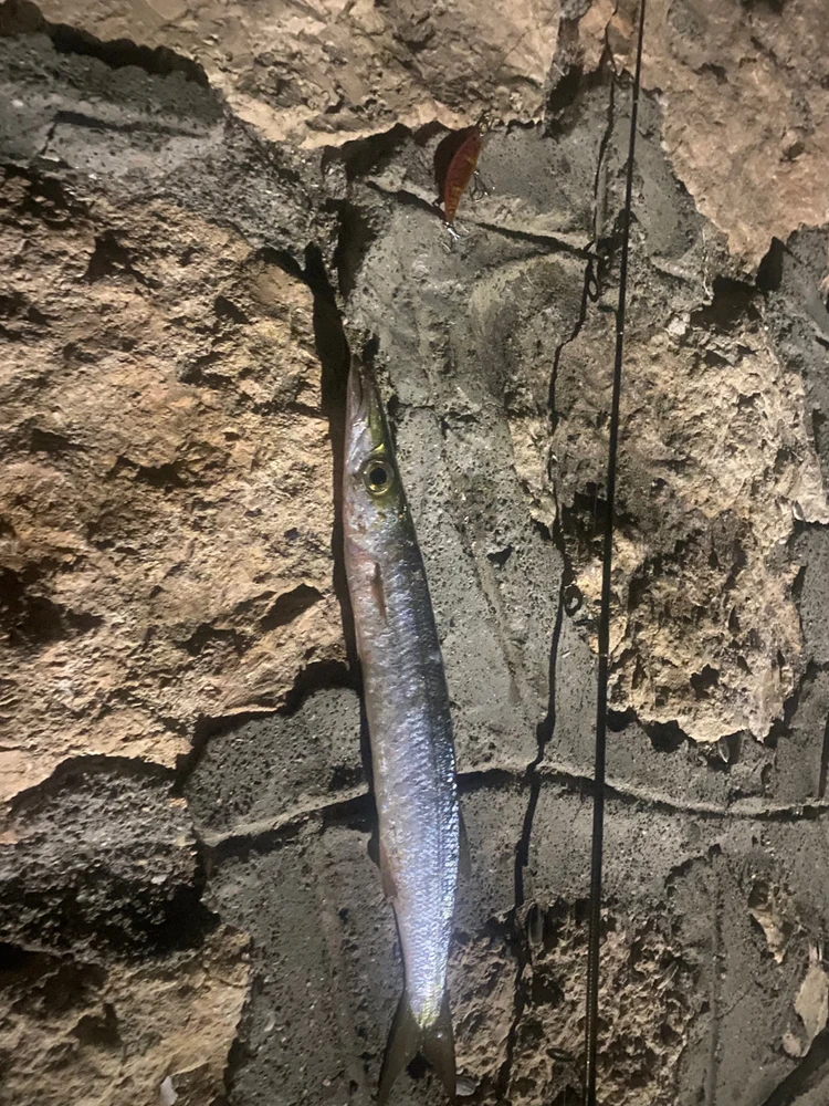 Serhan tarafından yüklenen görsel