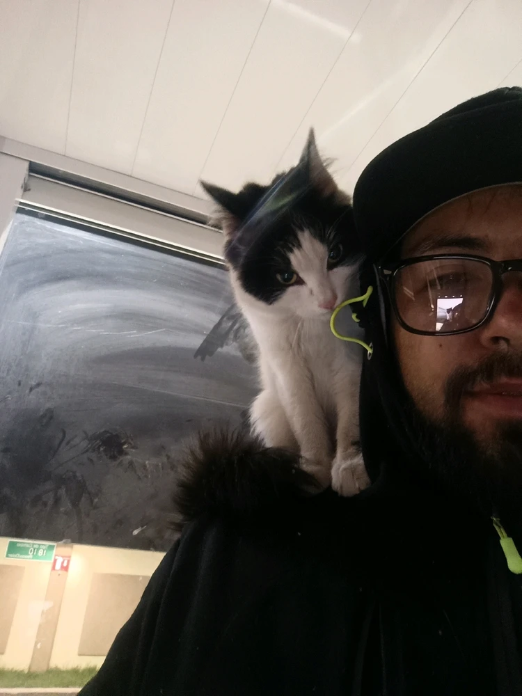 Imagen subida por Ever