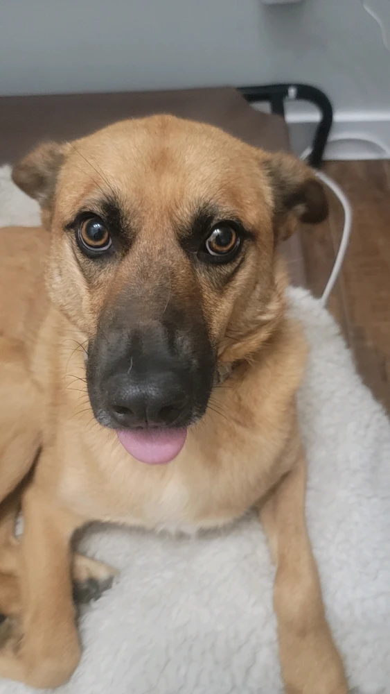 Jax