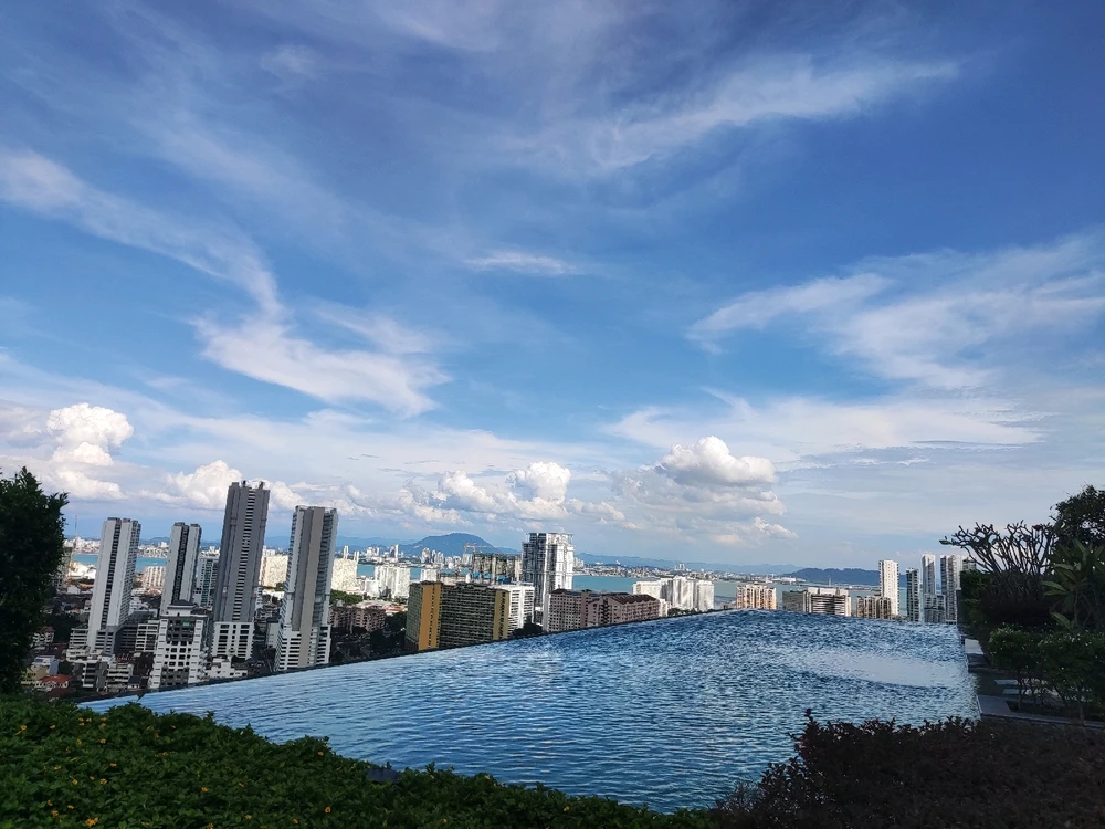 Image uploaded by Pingping🌱